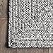 nuLOOM Wynn Braided Indoor/Outdoor Area Rug- 2' x 3', Light Grey/Salt and Pepper, Rectangular, 0.3