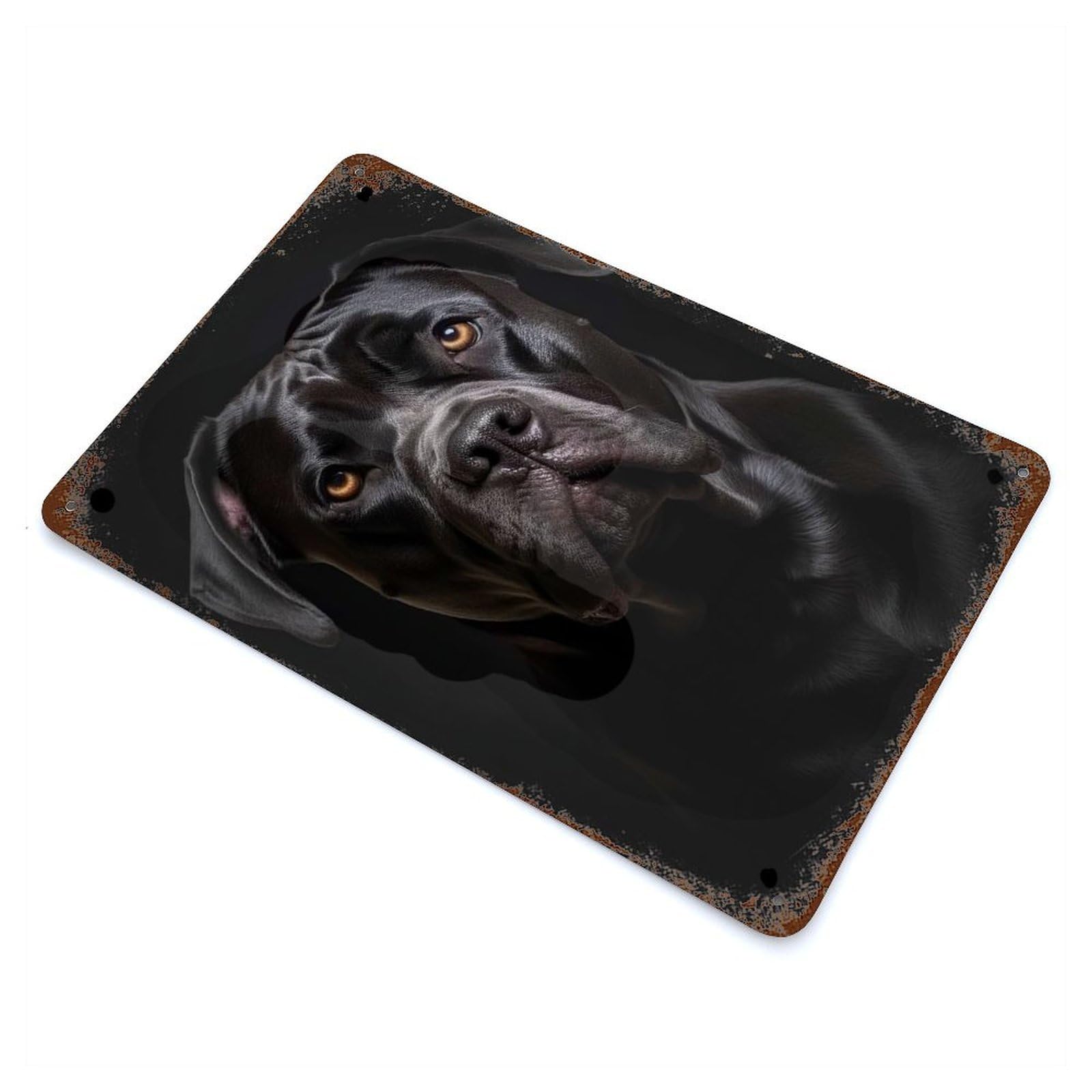 Rusty Metal Tin Sign Cane Corso Closeup Face 11.8"x7.9", Classic Wall Plaque for Cafe, Home Bar And Lounge Decor