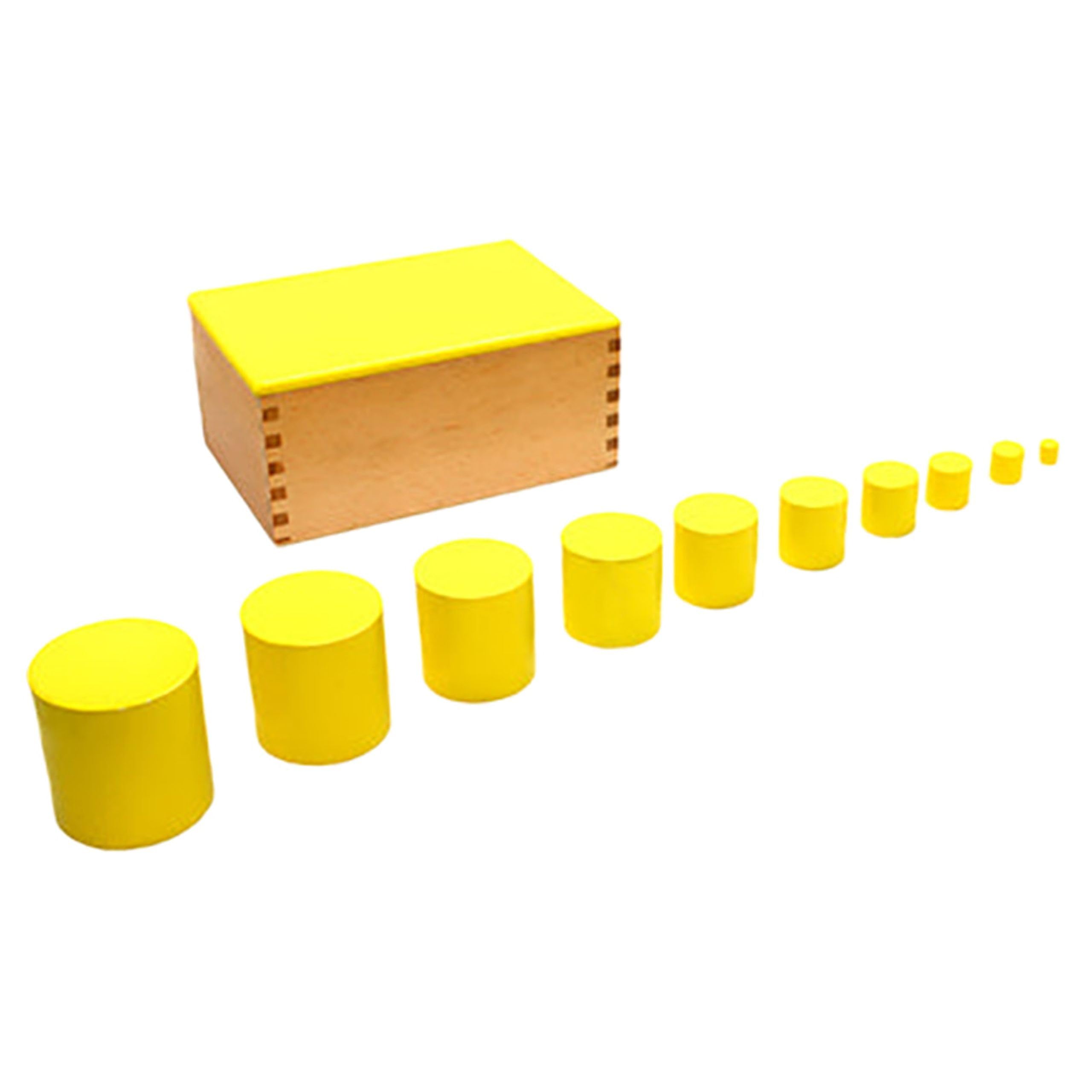 Edu-Fun Model 1 Knobbles Cylinder