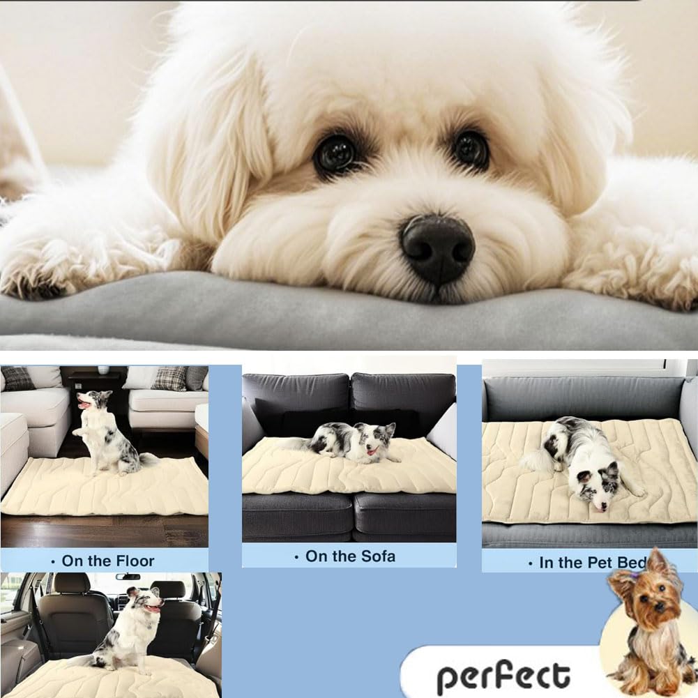 2026 Neu PfotenChill - Die Innovative Kühlmatte für Hunde, Pfoten selbstkühlende Hundematte aus Eisseide, bissfest wasserdichte Kühldecke für Katzen Menschen Auto Sofa (M,#6)