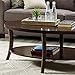 Roundhill Furniture Perth Contemporary Oval Coffee Table with Shelf, Espresso
