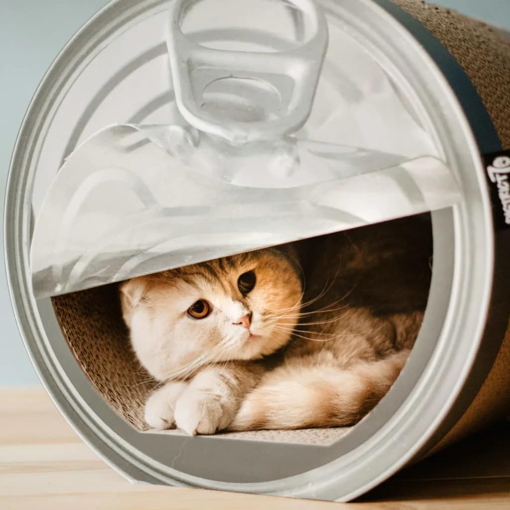 CAN - Funny Cat Scratcher - Perfect hiding spot - 36,5 x 40 x 38 cm - CAN