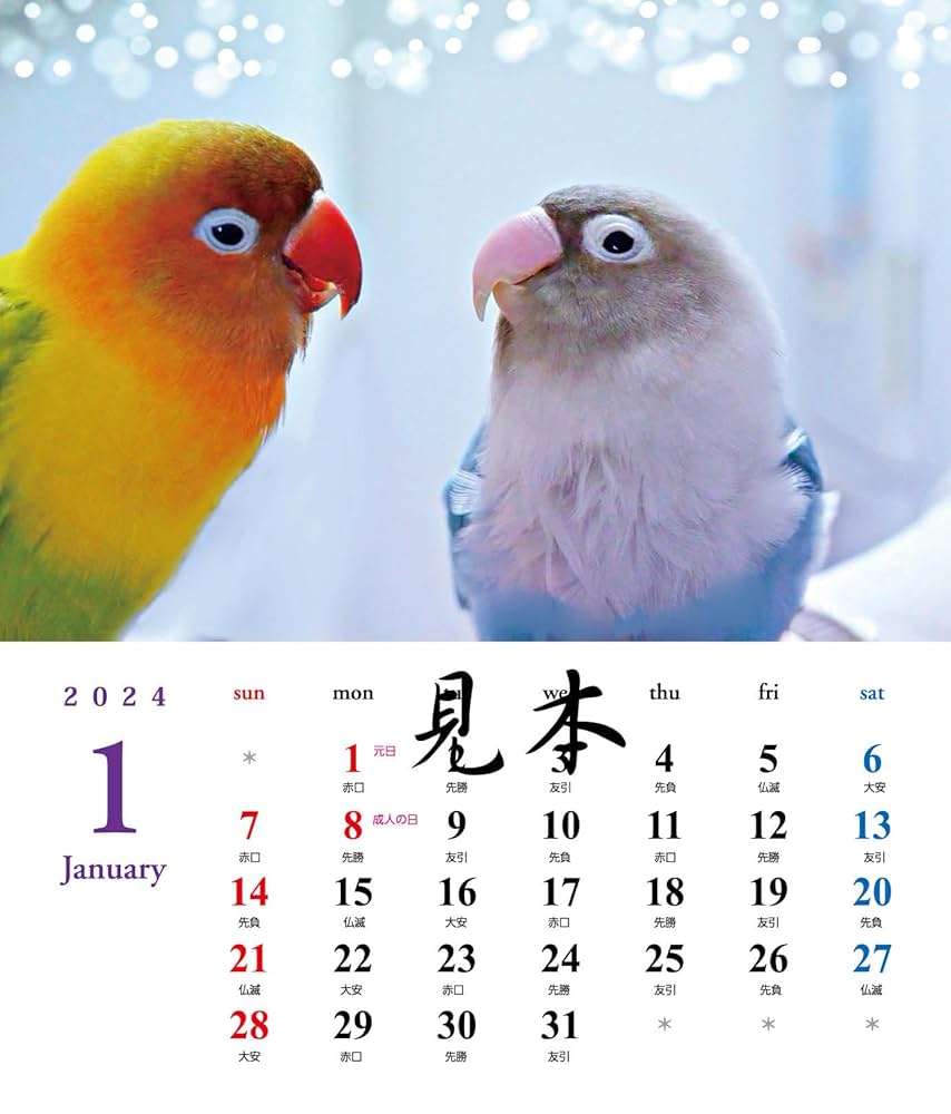 Amazon.co.jp: コザクラインコ・ボタンインコ・ラブバード鳥写真