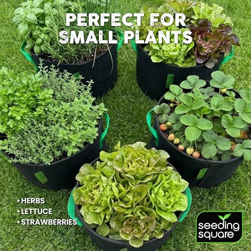 Seeding Square Fabric Grow Bags (5 Gallon) – Durable, Reusable Air-Pruning Plant Pots for Vegetables, Fruits & Herbs – Eco-Friendly Breathable Planter Bags for Healthy Roots & Bigger Harvests — view 4