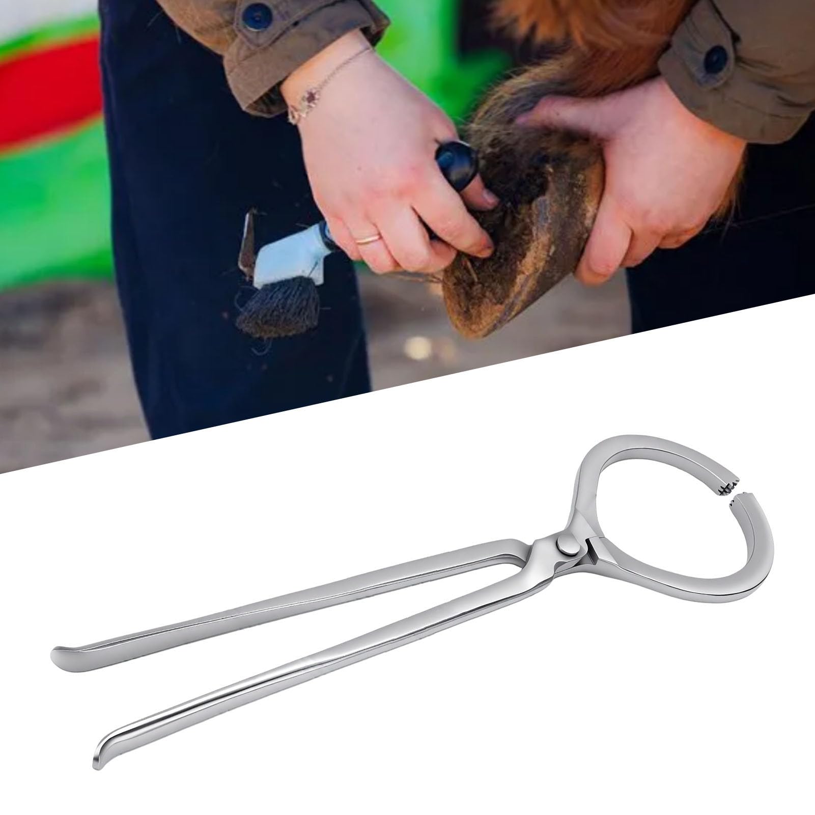 banapoy Tester Kopyt, Narzędzie dla Koni ze Stali o Wysokiej Twardości 48,5 Cm | Konstrukcja stalowa, zastosowanie w stajni dla koni, kompatybilność z tarnikami i ostrzami, kompaktowy przenośny uchwyt