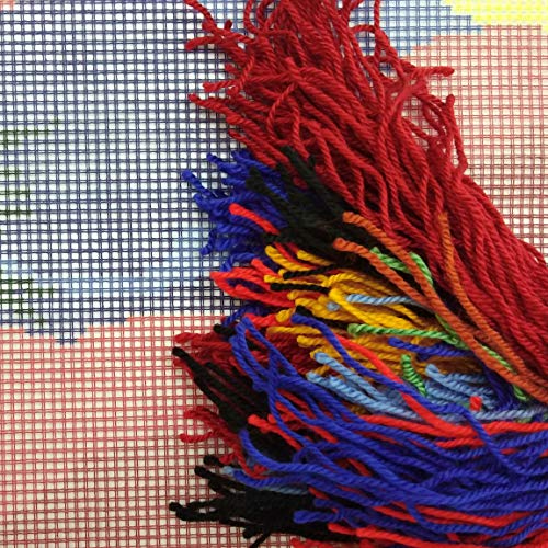 Colours Of Poppies. Embroidery Kit. Throw Pillow 16×16 Inches. Printed Tapestry Canvas, European Quality #TOP1