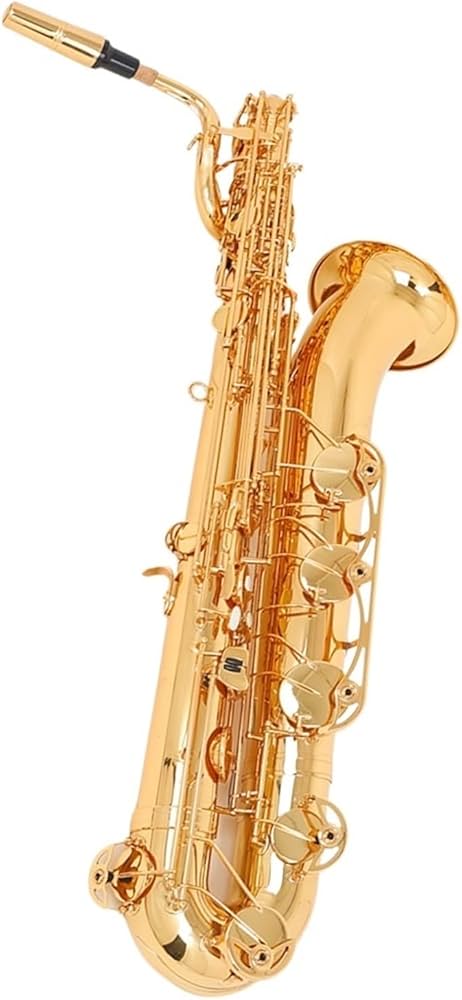 Amazon.co.jp: ユーフォニアム サックス楽器 E フラット