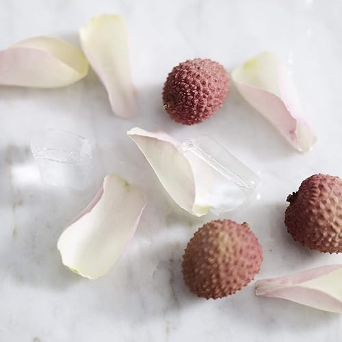 Miniatura 3 de Teapigs Lichi y rosa preparado en frío hecho con hojas enteras 6 paquetes de 10 bolsas de té