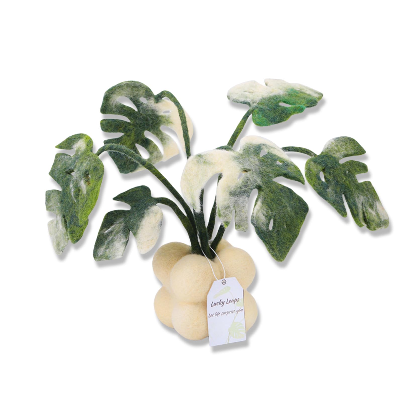 Woedpez Monstera Potted Plant Needle Wool Felting Tool with Needle Instruction Roving Wood Handle and Finger Cots Felt Craft Set