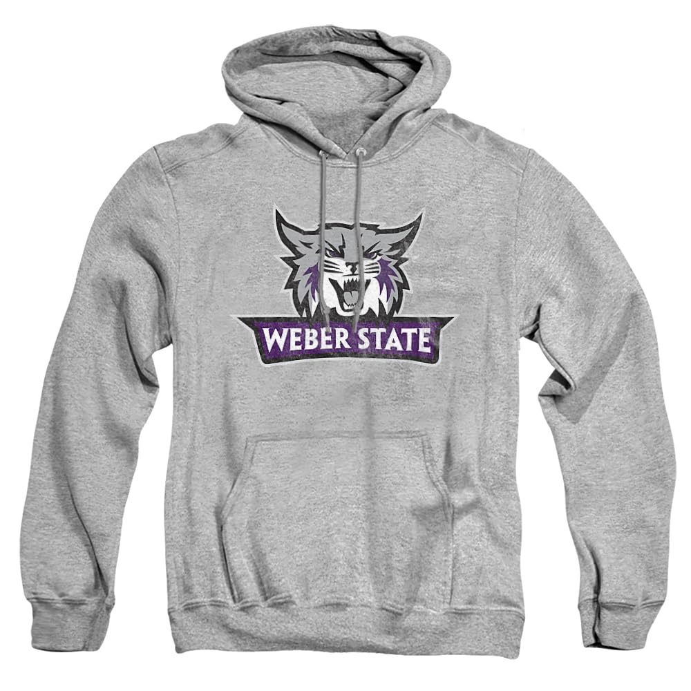 LOGOVISION Official Collegiate Distressed Primary Logo Adult Pullover Hoodie Collection — view 155