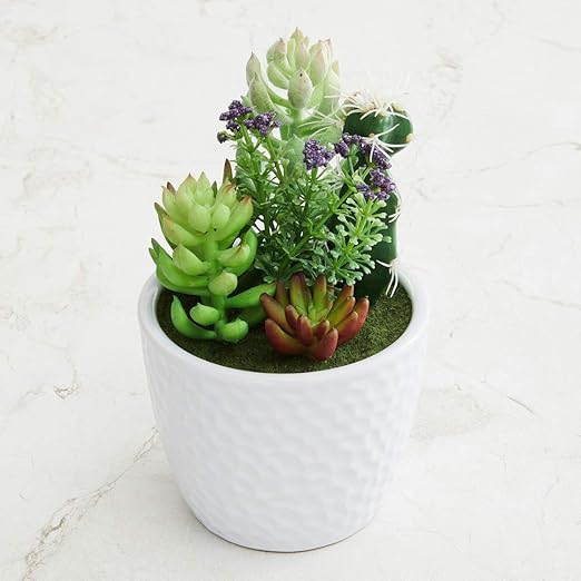 Buy Home Centre Gardenia Artificial Succulents in Ceramic Pot Green
