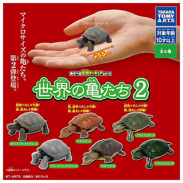 亀 カメ フィギュア まとめ売り ガチャ ガチャガチャの森で発見！めっちゃ可愛いカメのフィギュア「かめ