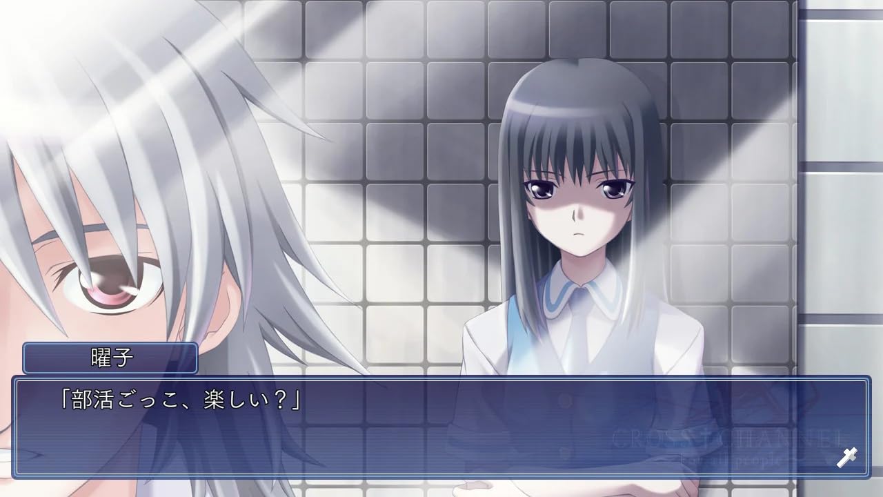 Amazon.co.jp: CROSS†CHANNEL ~For all people~ 限定版 -Switch 【特典