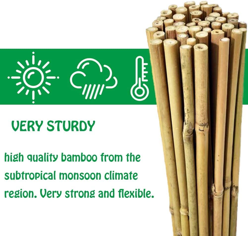 Mininfa Varillas de bambú natural de 60 cm, 50 unidades