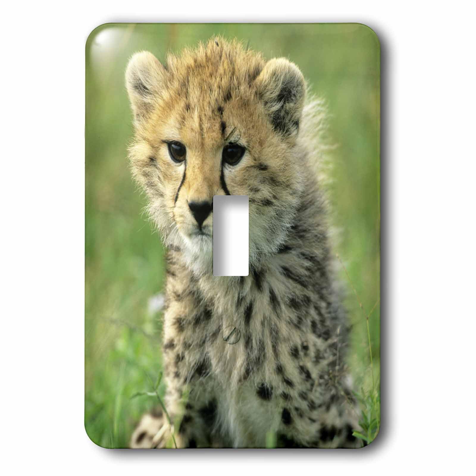 Interrupteur simple Tanzania Serengeti NP Cheetah Cub 3dRose lsp_71036_1