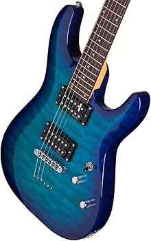 Amazon | Schecter 443 C-6 Plus ソリッドボディ エレキギター OBB
