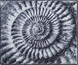 Grund Bath Mat, Ultra Soft and Absorbent, Anti Slip, 5 Years Warranty, AMMONA, Small Mat 50x60 cm, Grey