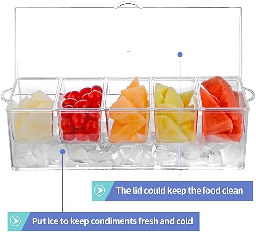 Miniatura 4 de MOLIGOU Bandeja de servir fría, bandeja de fiesta de hielo con tapa, 4 compartimentos bandeja para servir aperitivos en hielo