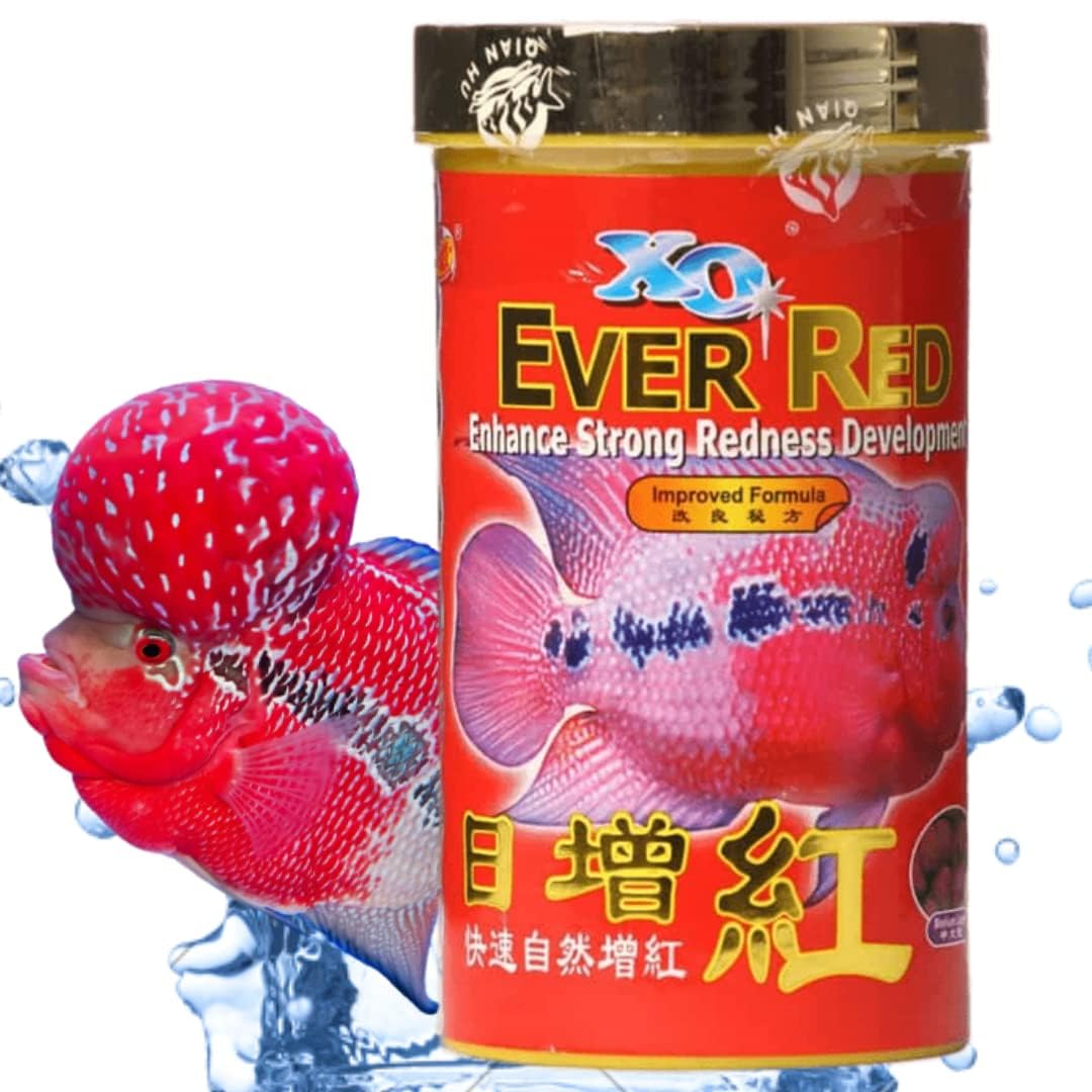 Ocean Free XO Ever Red (Original) Fish Food, 280ML/100G | Enhance Strong Redness Development for Flowerhorn Fish (B0D7ZP75P2) Amazon Price History, Amazon Price Tracker