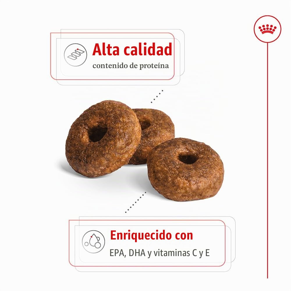 Royal Canin Comida para perros Medium Ageing +10 15kg