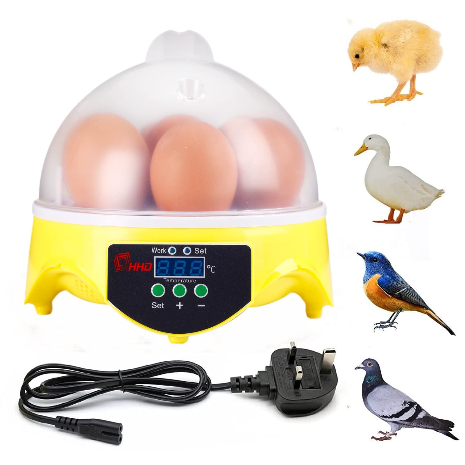 BREUAILY 7 Eggs Hatcher Quail Egg Incubator Tortoise Egg Incubator with Intelligent Temperature Control and LED Digital Display Poultry Hatching Machine for Chicken Duck Bird Quail (Uk Plug)