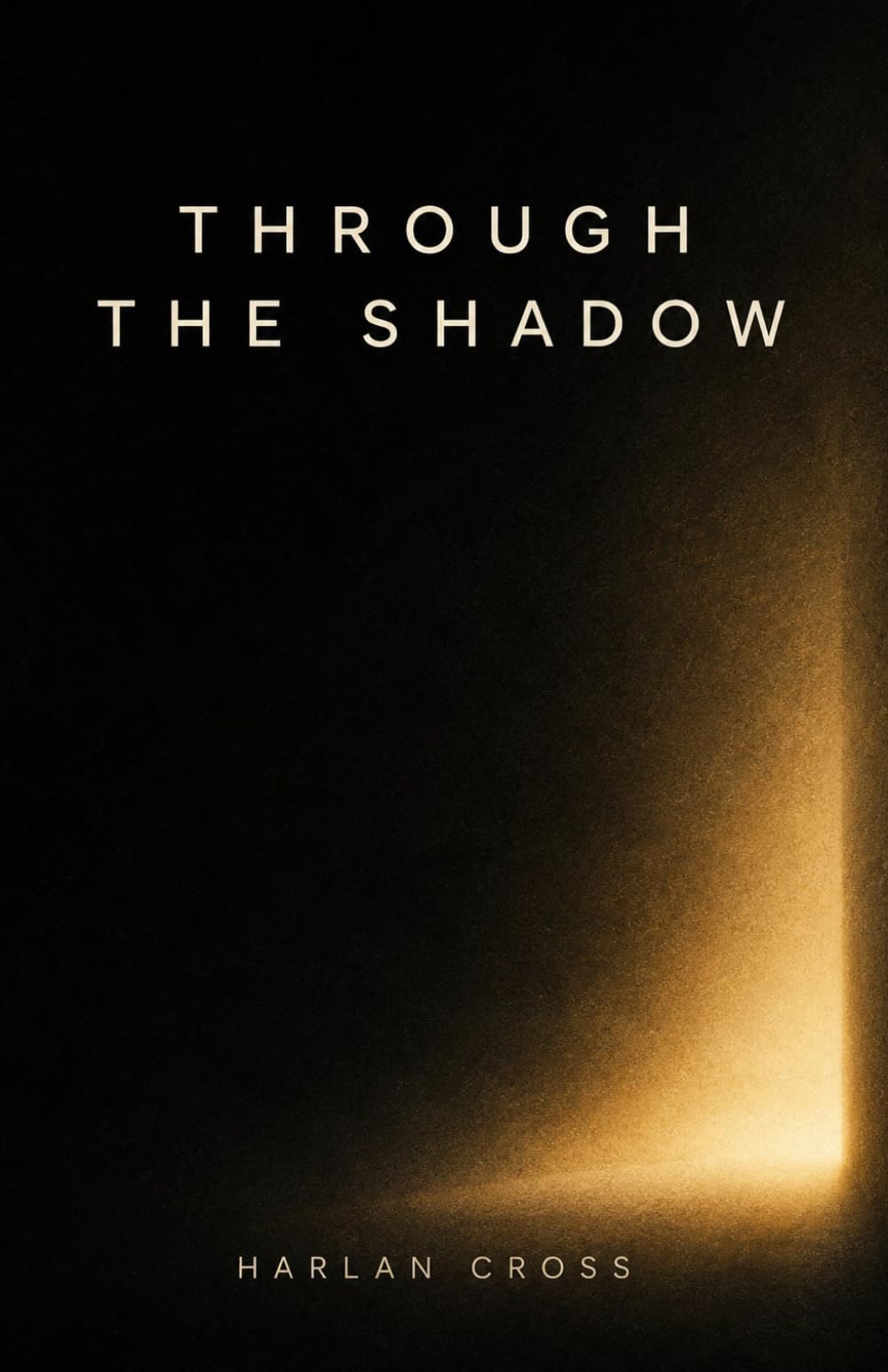 Through the Shadow