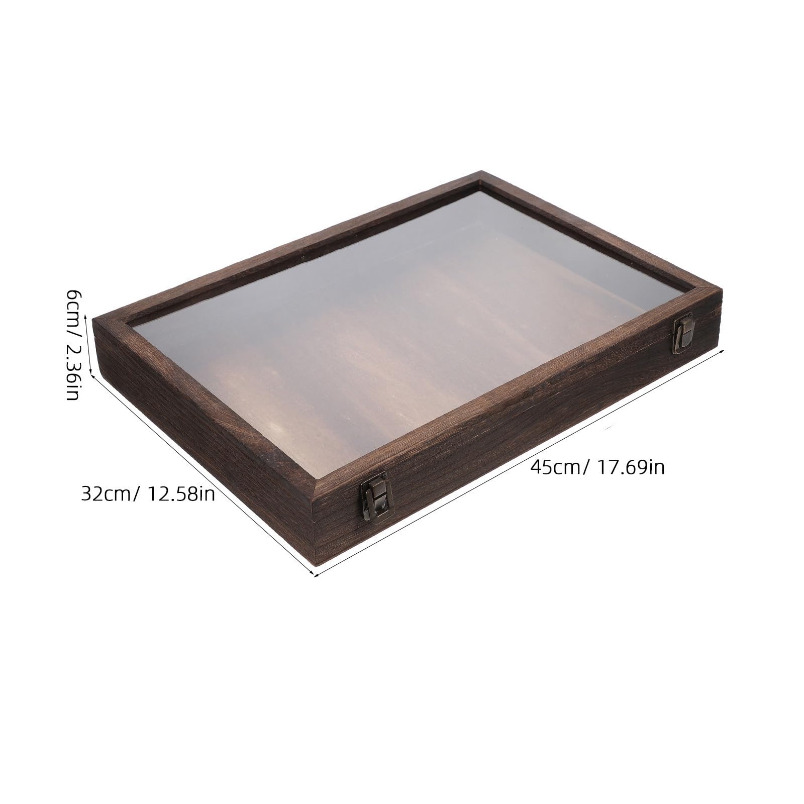EXCEART Caja de muestras de insectos Contenedor de especímenes naturales exhibición de flores secas vitrina de mariposas estuche de almacenamiento para plantas