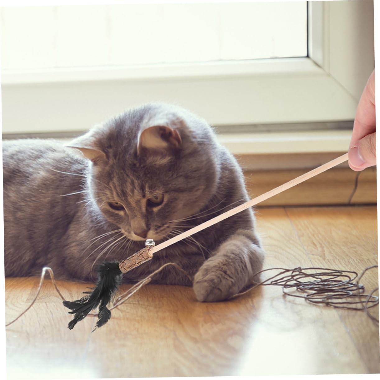 Toddmomy 15pièces Canne à Interactive pour Chats avec Plumes Jouet Amusant pour Chatons Et Chats Intérieur