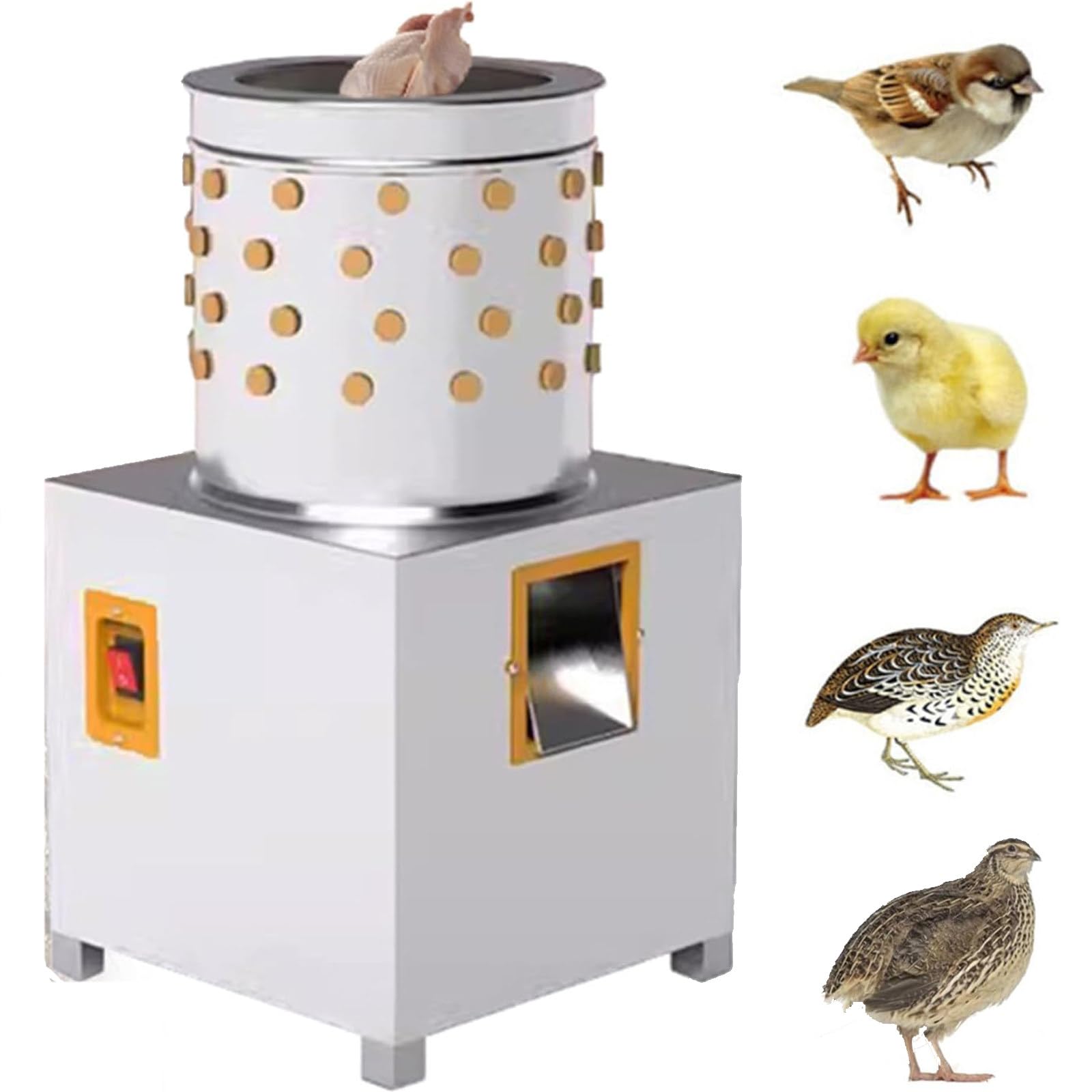 Spiumatrice Automatica per pollame, spiumatrice di Piume di Pollo per carichi Pesanti per Uccelli, quaglie, piccioni e Altro pollame - 95 aste in Gomma, Motore 1440 Giri/min