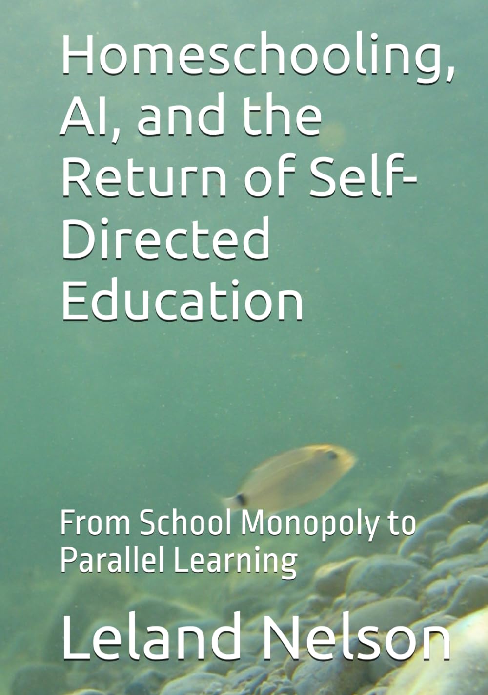 Homeschooling, AI, and the Return of Self-Directed Education: From School Monopoly to Parallel Learning