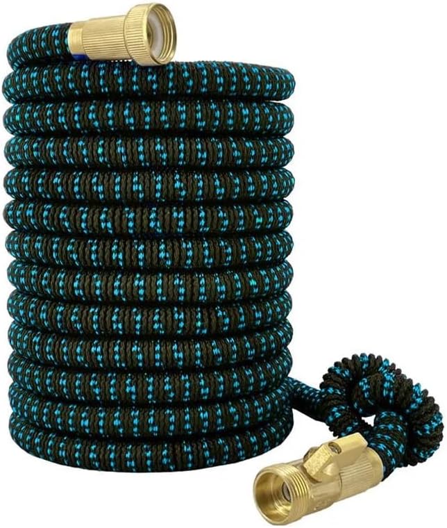 井澤 幸三 作品 油絵 油絵 絵画 【赤いポインセチア】 油絵 絵画