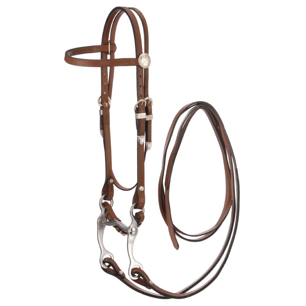 Royal King Basic Show Pony Headstall Set Med Oil