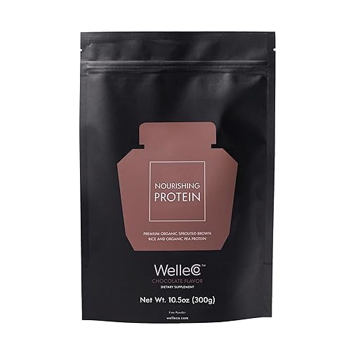 WelleCo, Proteína nutritiva, arroz integral germinado orgánico de primera calidad y proteína de guisante, sabor a chocolate, bolsa de 10.5 onzas