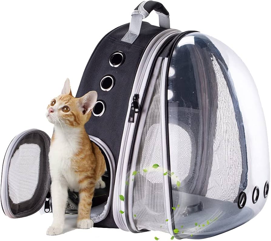 cat backpack