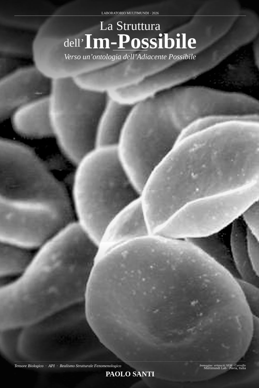 La Struttura dell'im.....Possibile: Verso un’ontologia dell’Adiacente Possibile - Convergenza transdisciplinare tra quarantacinque pensatori ("Multimundi — Collana dell'Adiacente Possibile")