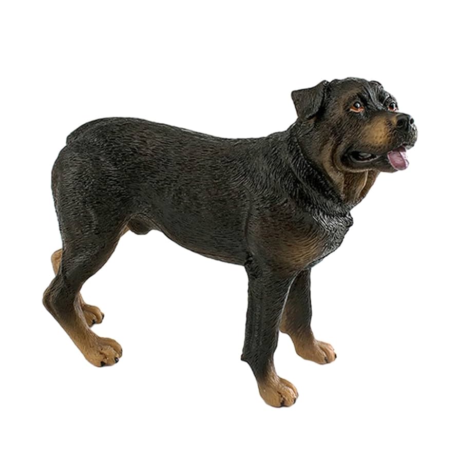 GRIFFONS Playground Kj 降谷建志 Rottweiler GRIFFONS Playground Kj 降谷建志 Rottweiler Notable Dogs