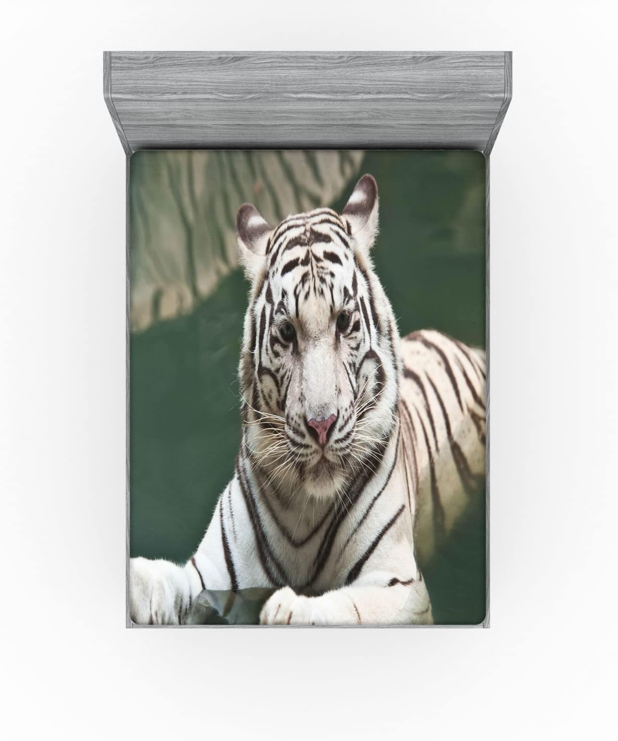 Ambesonne Tiger Fitted Sheet, Bengal Swimming Plain Colored Beast Black Sprites Large Cat Animals Having Fun, Bed Cover with All-Round Elastic Deep Pocket for Comfort, Queen Size, Teal White
