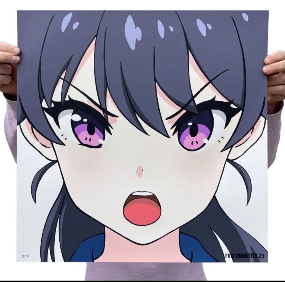 東京風紀委員会　シルクスクリーン ED30 　FUKI COMMITTEE Amazon.co.jp: 即発送 東京風紀委員会 シルクスクリーンED30