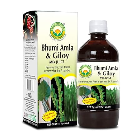 Bhumi Amla & Giloy Mix Juice With Wheatgrass 450 Ml | Certified Organic 100% Natural & Pure Herbal Drink | One Of Nature's Most Perfect Nutrient Beverages | Pleasent Natural Taste | A Powerful Blend That Targets Overall Health Balance