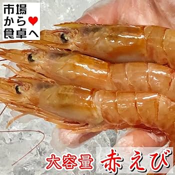 えびえび Amazon.co.jp: 赤えび2kg 【サイズ20/30・約40-60尾】【ボタン