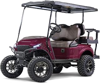 MADJAX Storm Body Kit for EZGO TXT Golf Cart Models | Compatible with 1994-Current E-Z-GO TXT, Valor, T48 (Amethyst Purple Metallic)