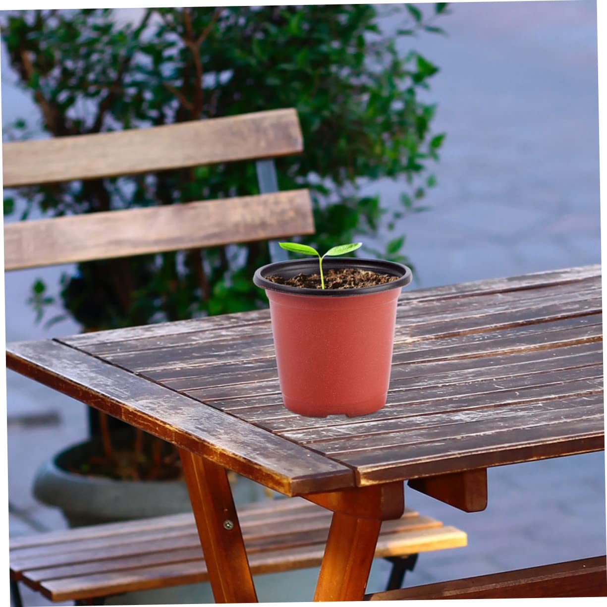 Cabilock 4 Vasi In Plastica Per Piante Grasse Con Vassoi - Semplici, Robusto PP, Per Interni/Esterni, Bonsai - 2