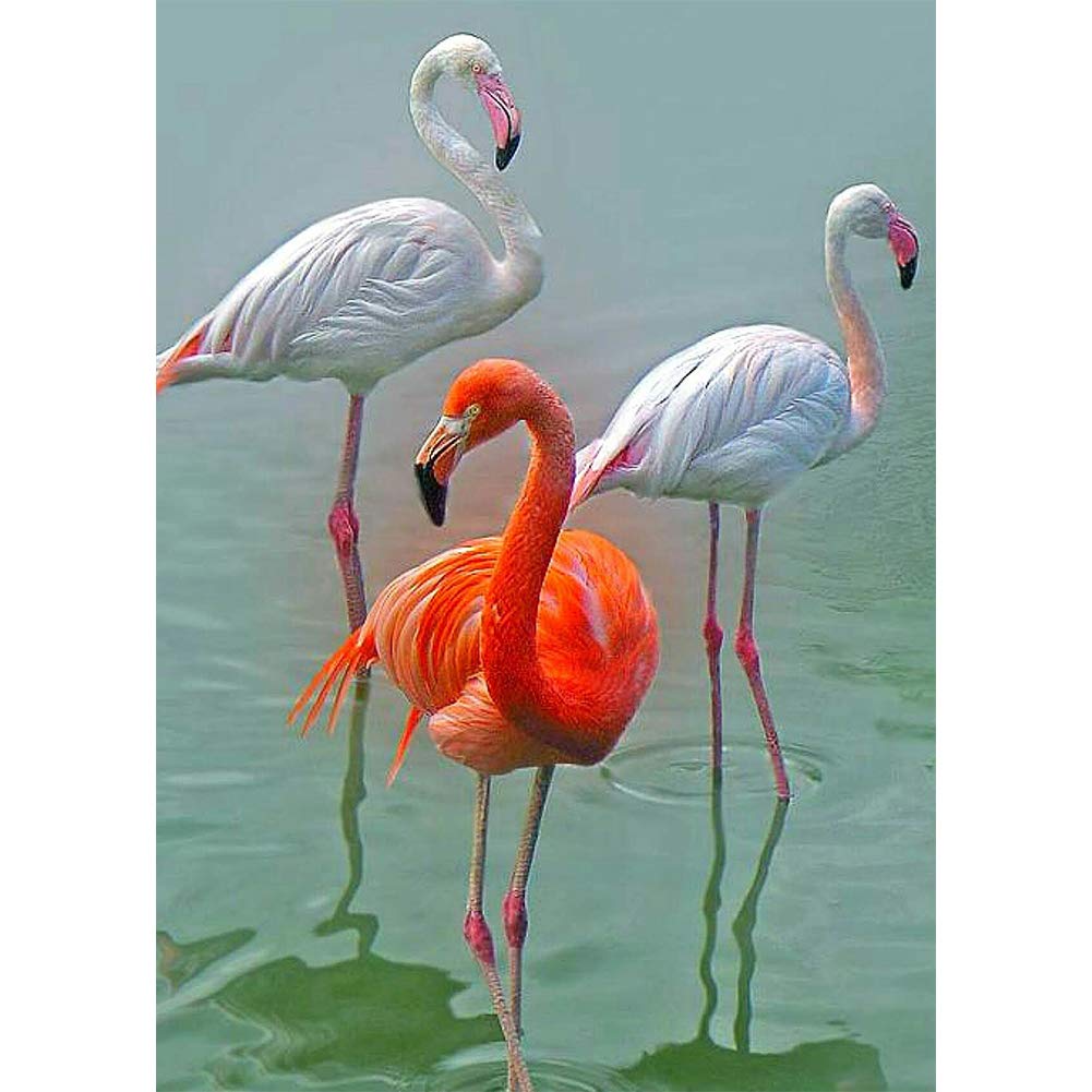 Own4b Green Diy 5D Diamond Painting By Numbers Kits, Flamingo Animal, Full Drill Rhinestones Paint With Diamonds Crystal Diamond Art (Flamingo)