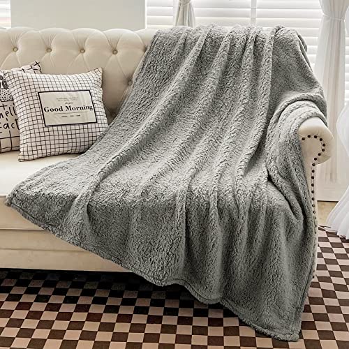 Gonaap Sherpa Fleece Throw Blanket Plush Fluffy Cozy Lightweight Blanket For Bed Sofa Couch Travel (Twin(60"X80"), Light Grey) #TOP1
