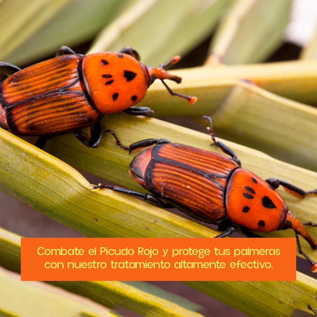 PACK x10 Tratamiento Picudo Rojo Palmeras | Inyecciones con Endoterapia para Insecticida Picudo Rojo | Ynject GO Palmera | INCLUYE CONECTOR | Sin Insecticida | 100% eficaz | Nexum Market