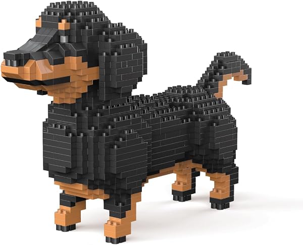 Chien Border Collie (Chien de Berger). Figure à Assembler avec des nanoblocs. 950 pièces. - 1