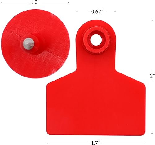 Miniatura 3 de Etiquetas de oído en blanco, 100 unidades, etiquetas de oído de ganado, tarjetas de identificación de ganado en blanco para ganado, vaca, cerdo,