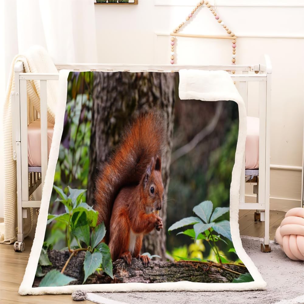 Plaid écureuil mignon en polaire chaude pour vos soirées cocooning sur le canapé