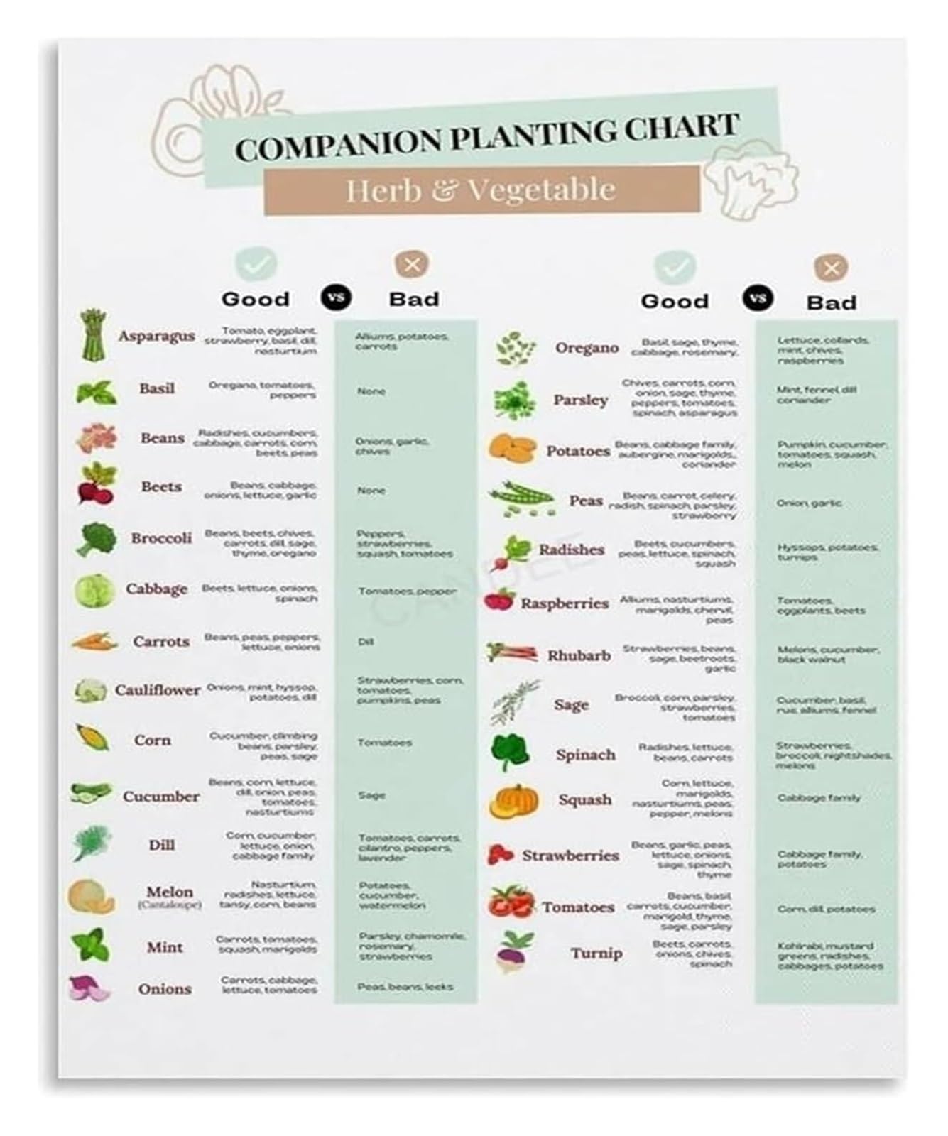 NWPNLXEA Homegrown Vegetables Guide Gardening Poster Seed Starting Times and Companion Planting Chart Educational Kitchen Wall-Art 8 X 12 in