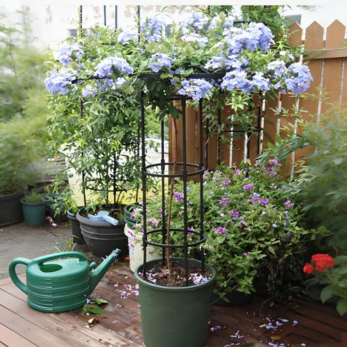 Cage de support en forme parapluie robuste treillis lierre - 8